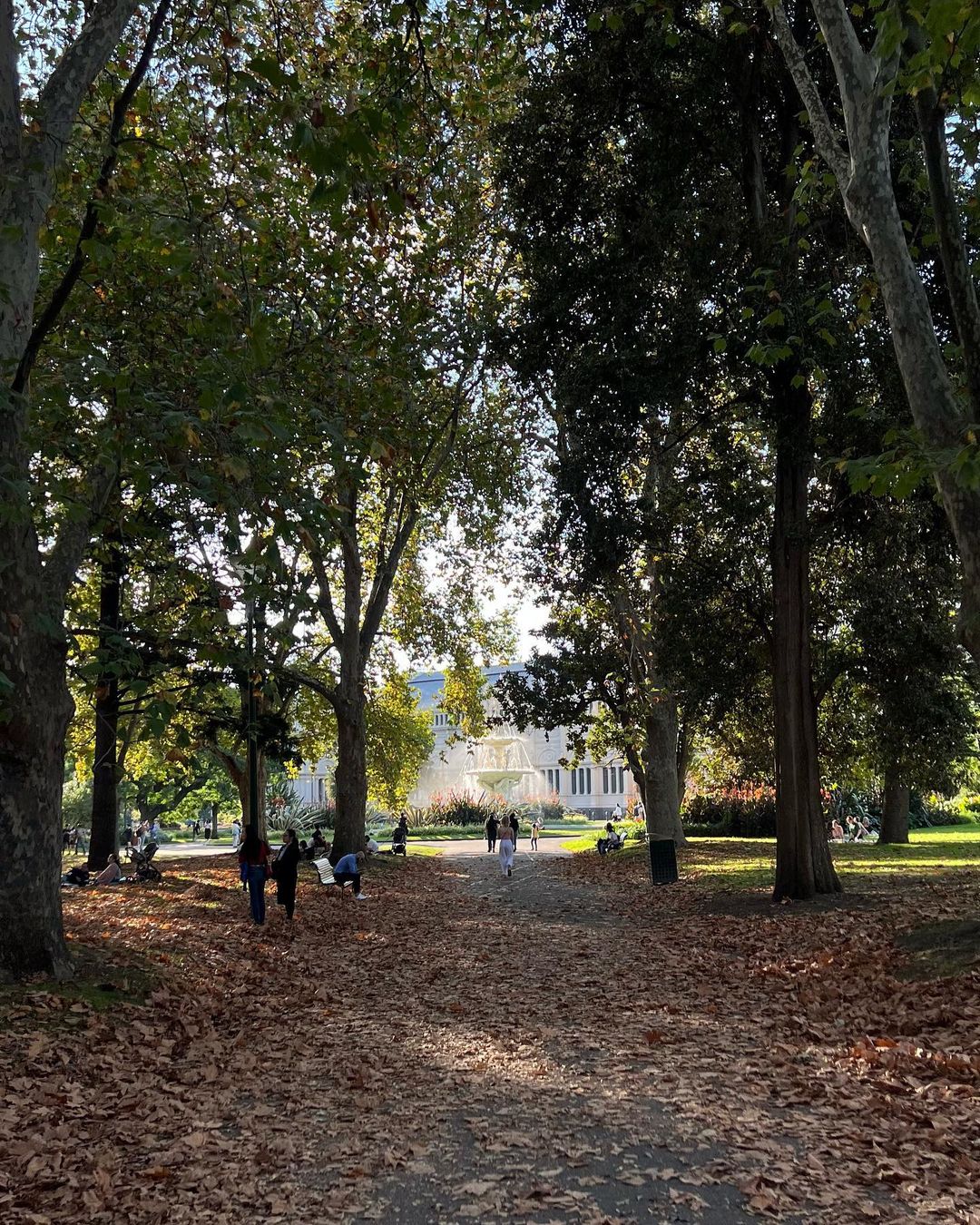 Sunlit park scene with pedestrians walking along a leaf-strewn path bordered by tall trees, leading to a building in the background.