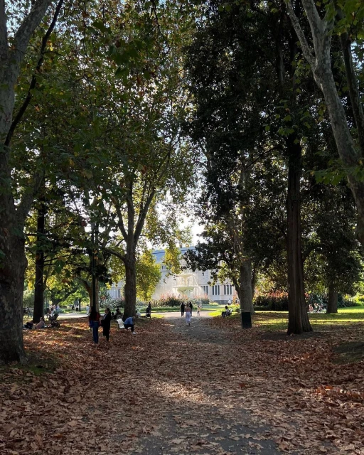 Sunlit park scene with pedestrians walking along a leaf-strewn path bordered by tall trees, leading to a building in the background.