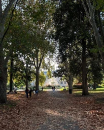 Park path covered in fallen brown autumn leaves framed by large trees with a distant fountain and people walking in Sydney.
