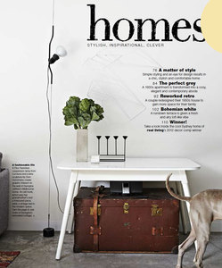 Interior shot of a living room features a white table with a vase of greens, a vintage trunk, a floor lamp, and a dog.