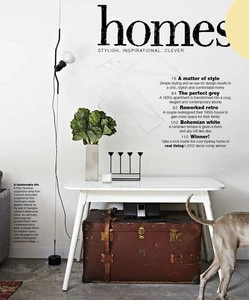 Interior shot of a living room features a white table with a vase of greens, a vintage trunk, a floor lamp, and a dog.