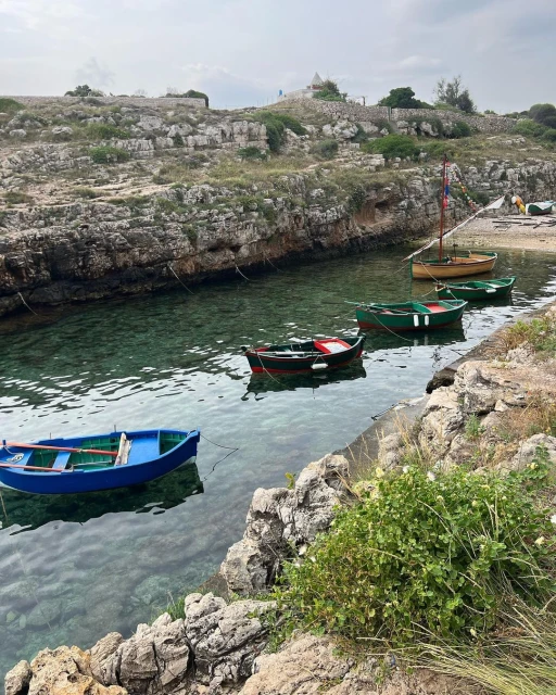 A collection of colorful wooden fishing boats floats on clear water near rocky outcroppings along a narrow inlet in a picturesque scene.
