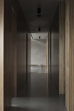Interior hallway featuring light wood paneling, a grey concrete floor and ceiling, and recessed lighting, creating a modern design.