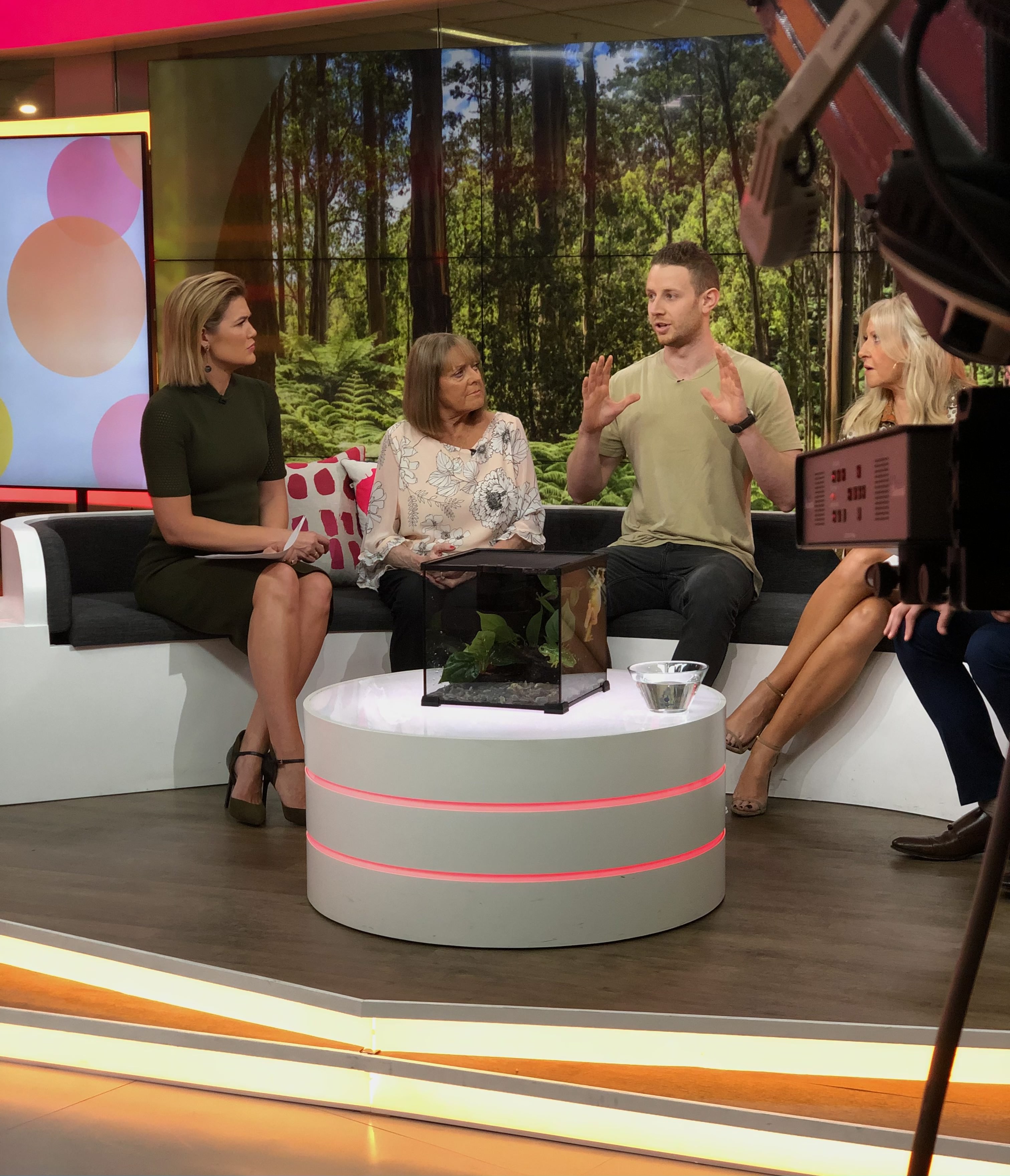 Four people sit on a couch on a set during a TV show recording with a terrarium, a green forest background, and TV camera equipment.