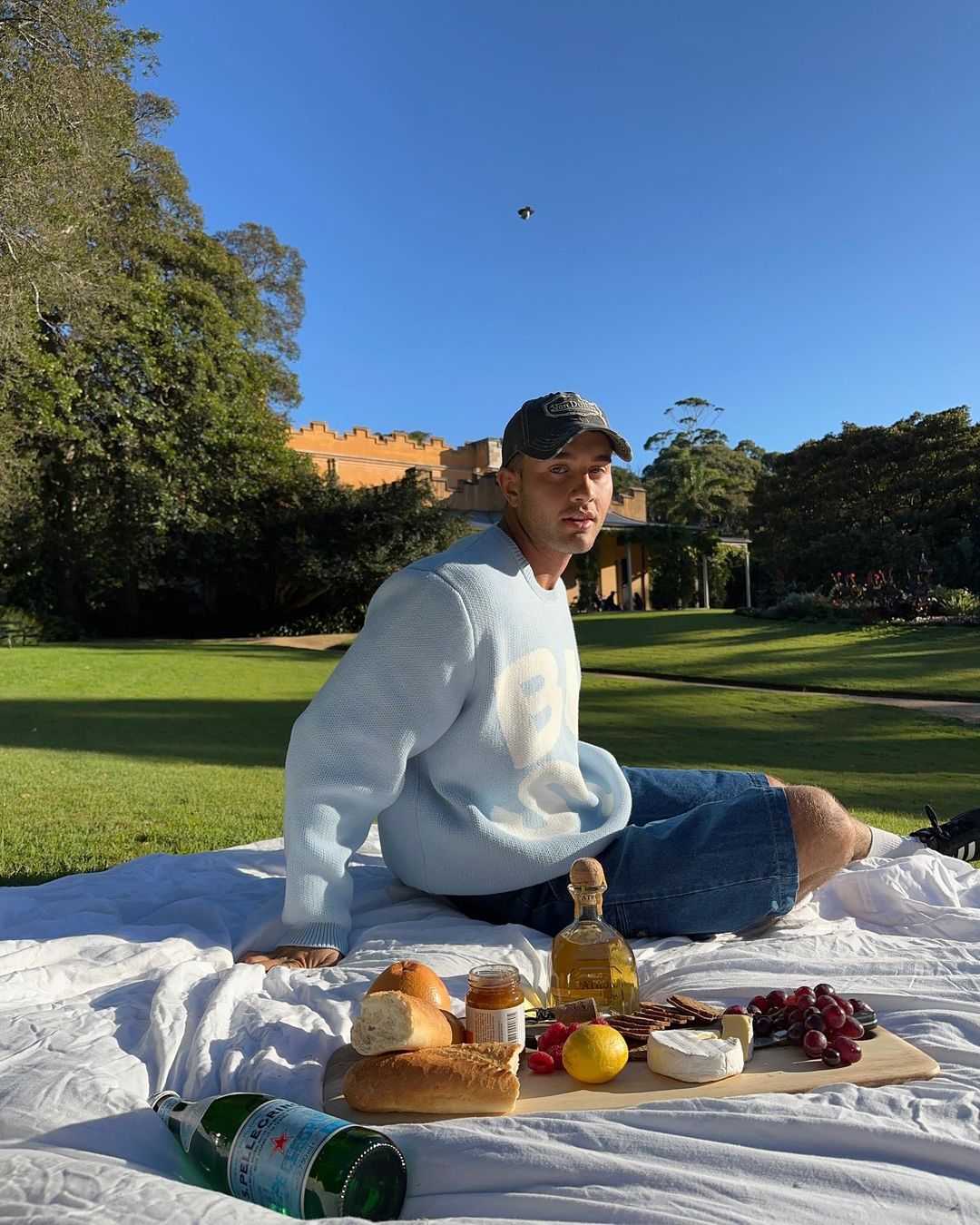 Man sitting on a blanket outdoors with a picnic of bread, cheese, fruit, and beverages, set in a park-like environment during daytime.