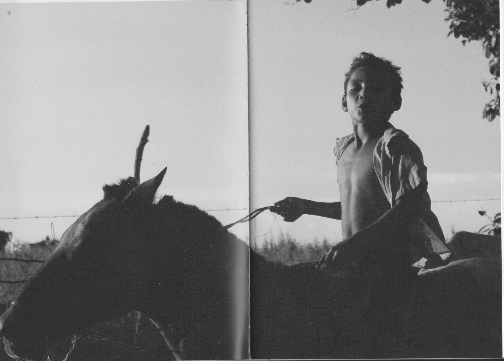 Monochrome photograph of a shirtless boy riding a horse outdoors under a bright sky, taken at eye-level with rural background details.