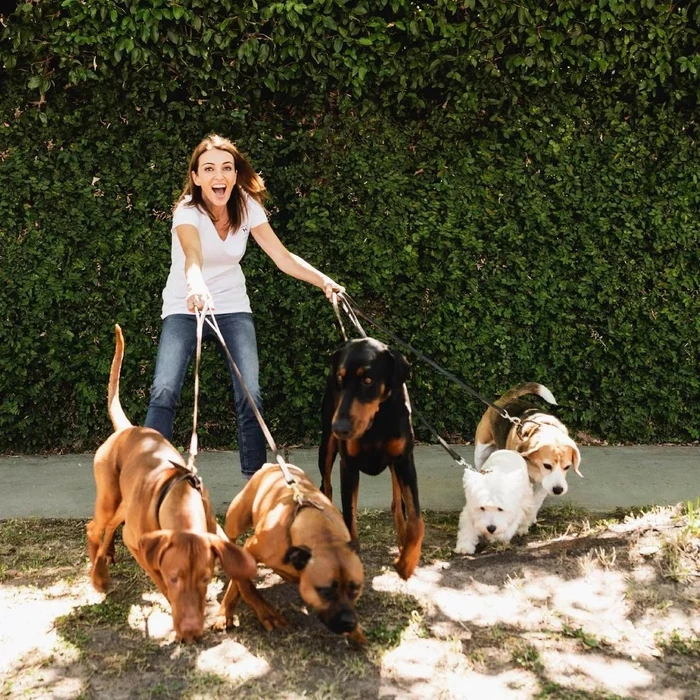 Content creator Dr Katrina Warren smiling while walking five dogs on leashes along a sidewalk in front of a dense green hedge.