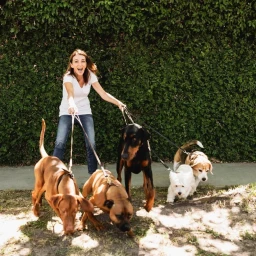 Content creator Dr Katrina Warren smiling while walking five dogs on leashes along a sidewalk in front of a dense green hedge.