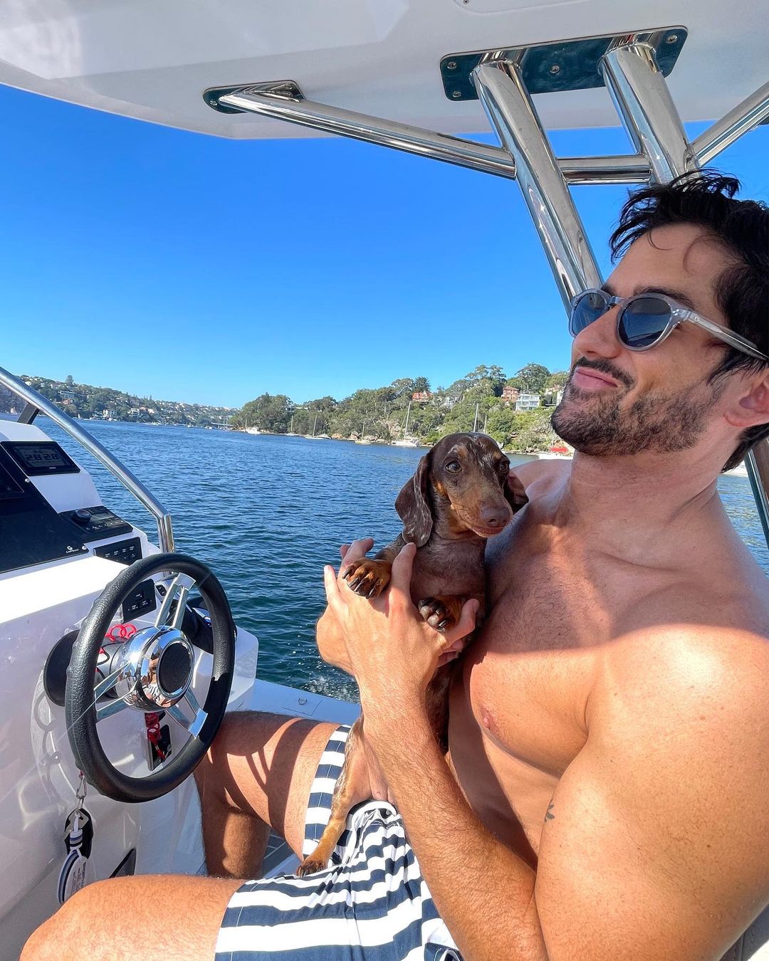 Shirtless man in sunglasses holding a dachshund puppy on a boat with blue water and sky in the background on a sunny day.