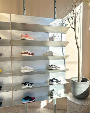 Display of various Nike sneakers on a multi-tiered shelf in a brightly lit store, complemented by a potted tree to the side.
