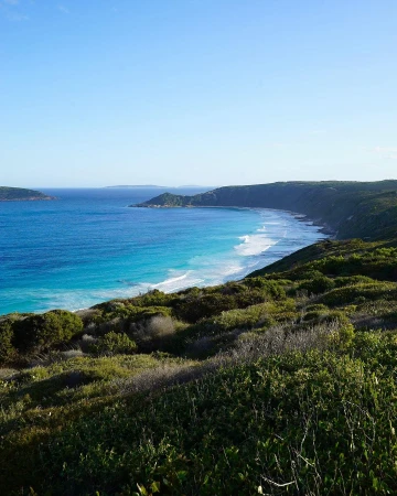 Coastal view overlooking a sandy beach with turquoise ocean water and rolling green hills in Sydney by Flick Palmateer