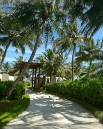 Curved path through lush tropical foliage and palm trees under a bright blue sky captured by Flick Palmateer.