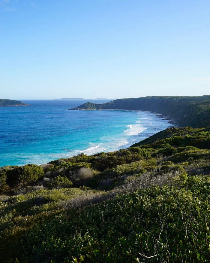 Coastal view overlooking a sandy beach with turquoise ocean water and rolling green hills in Sydney by Flick Palmateer