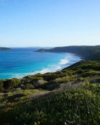 Coastal view overlooking a sandy beach with turquoise ocean water and rolling green hills in Sydney by Flick Palmateer