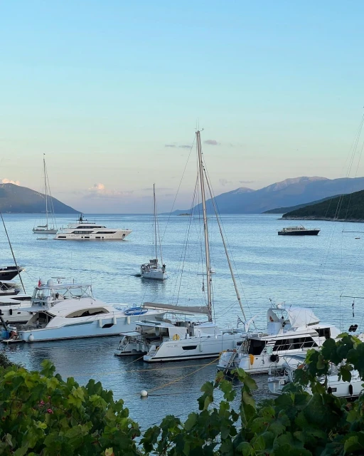Scenic harbor view with luxury yachts, sailboats, and calm water against a backdrop of rolling hills under a serene sky.