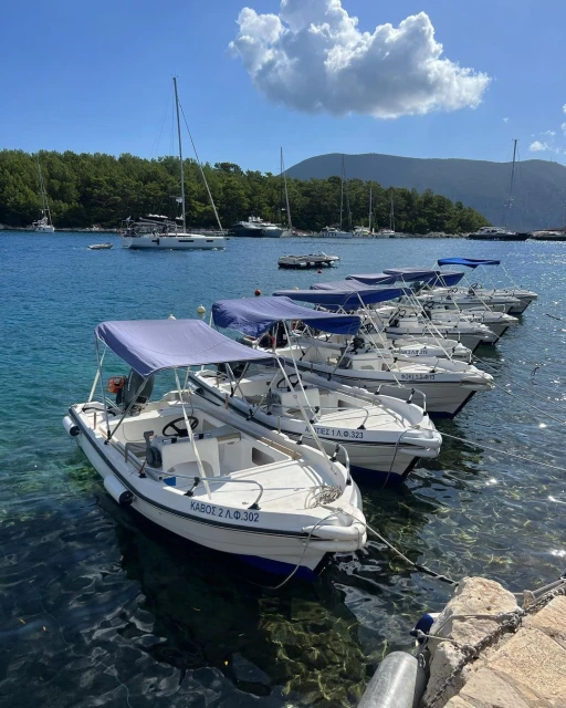 Row of white motorboats with blue canopies docked on clear water near a rocky pier on a sunny day with trees and sailboats in background.