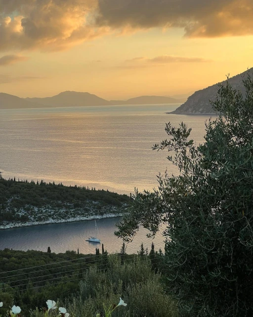 Scenic view of a calm ocean bay at sunset, with lush green vegetation in the foreground and a sailboat in the distance.