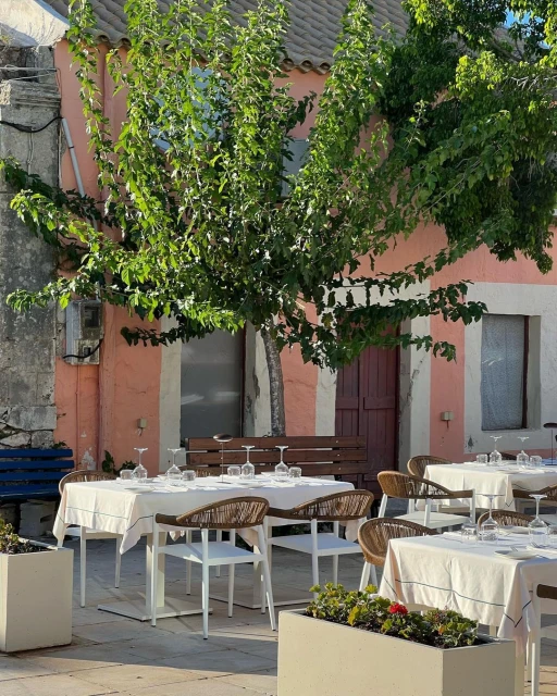 Outdoor restaurant seating with empty tables under a leafy tree and the building's pink wall, creating a quiet, inviting dining ambiance.