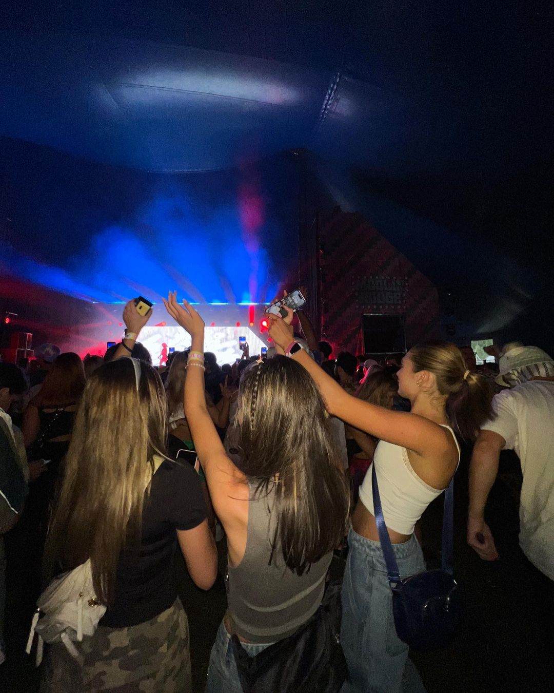Enthusiastic crowd enjoys live music in a concert setting. Attendees raise arms, bathed in blue and red stage lighting at a music event.