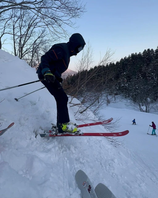Person in winter sportswear skiing downhill on a snow-covered slope; trees and sky are in the background.