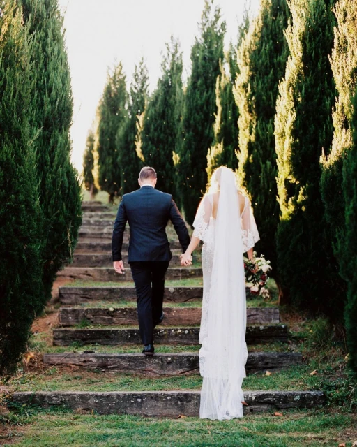 Bride and groom in wedding attire walk hand-in-hand up mossy stone steps flanked by rows of tall evergreen trees in golden light.