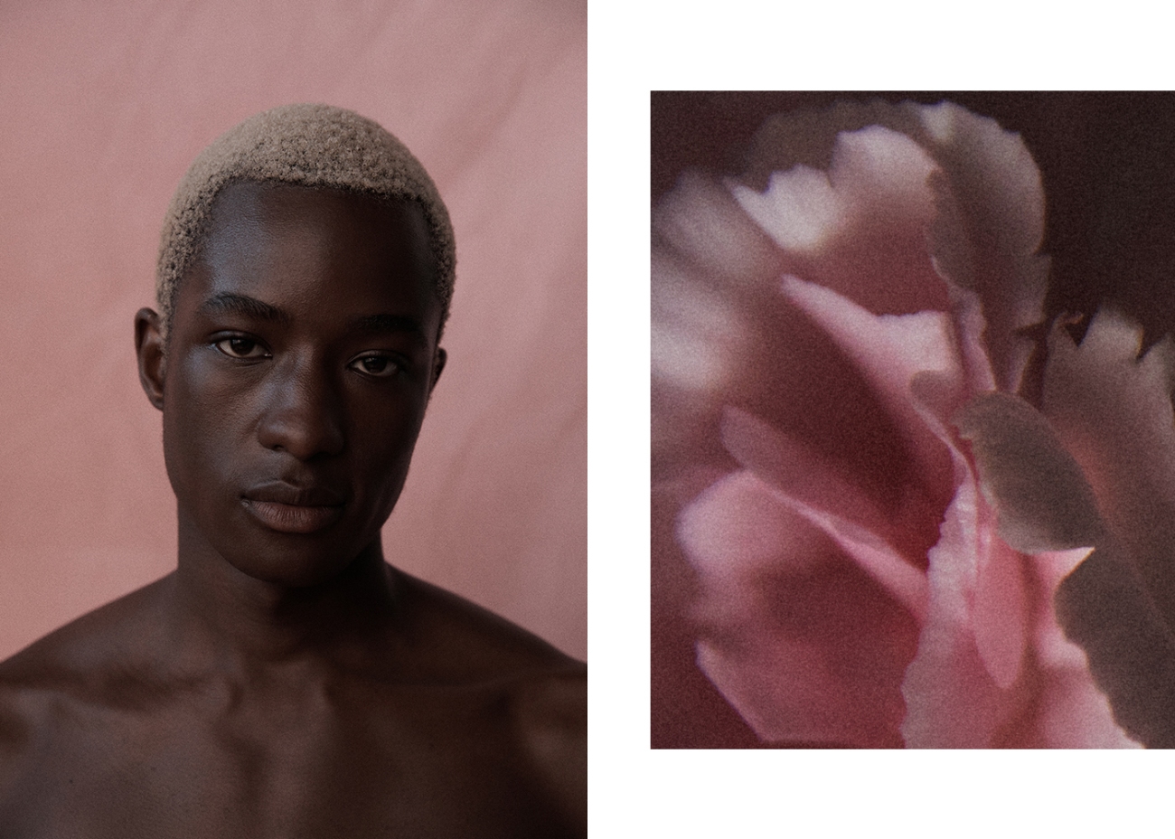 Portrait of a young, dark-skinned adult male with cropped, bleached hair, staring intently, alongside a blurred pink flower on a split background.