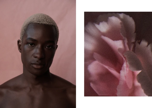 Portrait of a young, dark-skinned adult male with cropped, bleached hair, staring intently, alongside a blurred pink flower on a split background.