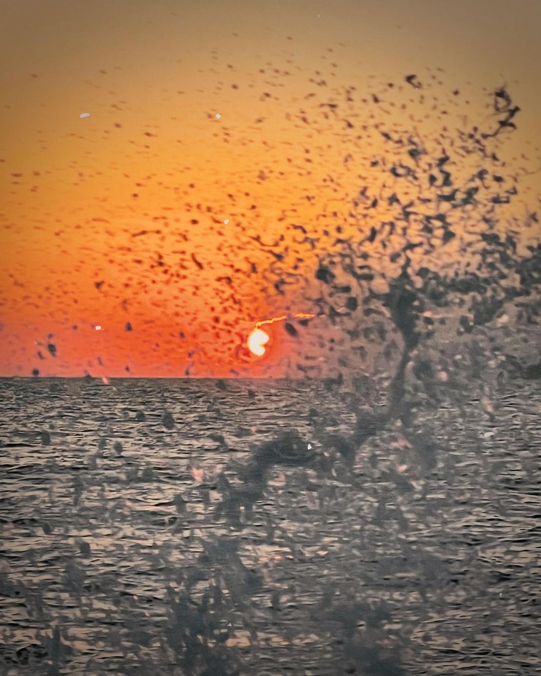 Ocean wave splashing in front of a vibrant orange sunset on the horizon, creating a dynamic and scenic seascape.