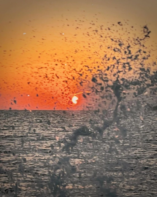Ocean wave splashing in front of a vibrant orange sunset on the horizon, creating a dynamic and scenic seascape.