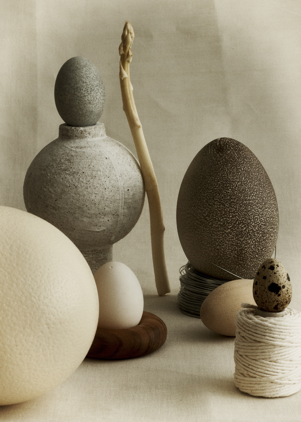 Still life photograph of various eggs, including ostrich and quail eggs, alongside asparagus and twine, set against a neutral backdrop.