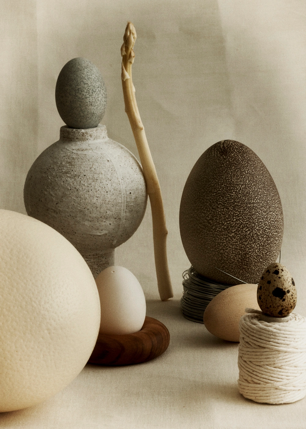 Still life arrangement of various eggs, a ceramic vessel, and a white asparagus spear on a textured neutral fabric backdrop.