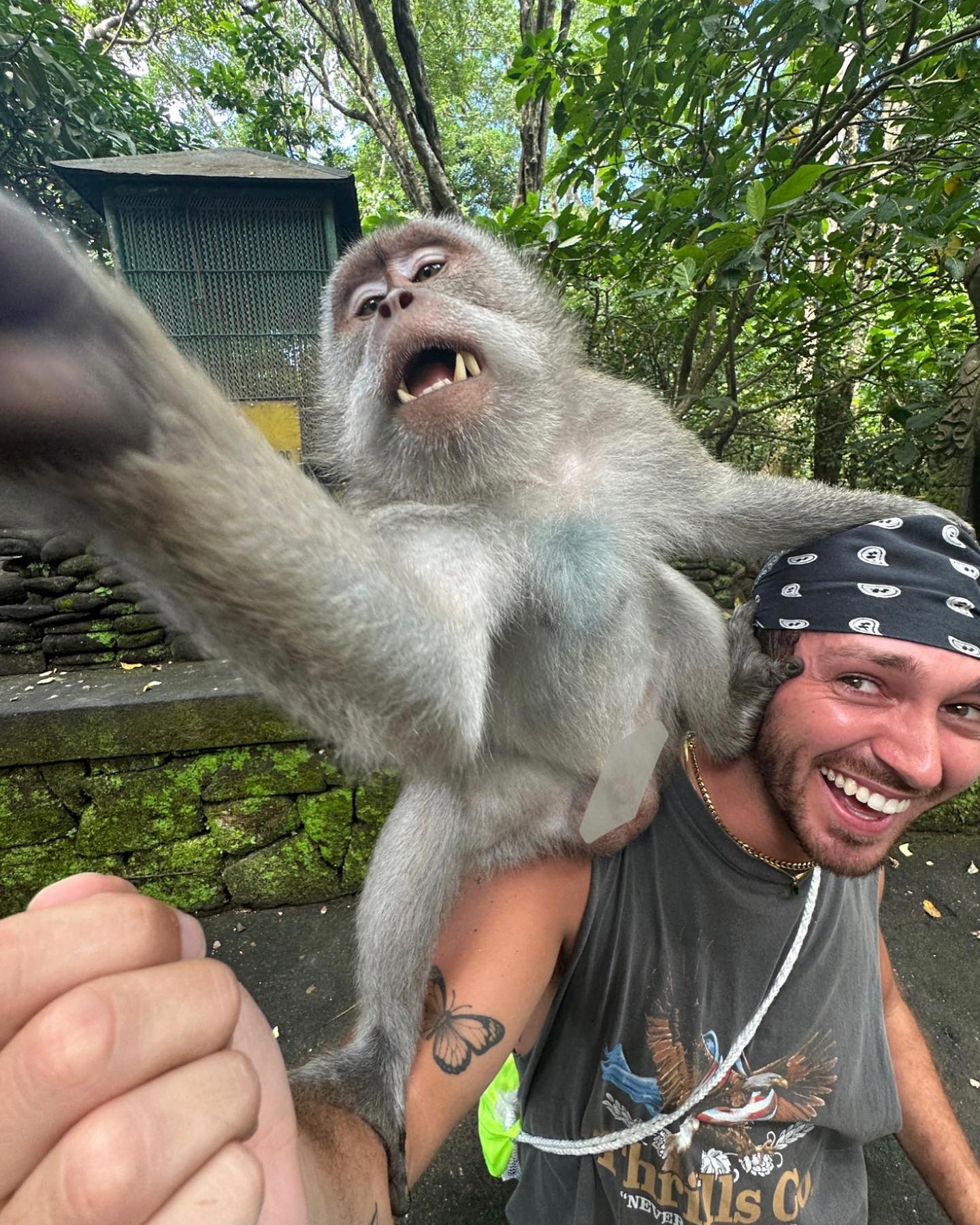 Person taking a selfie with a monkey outdoors. The monkey is sitting on the person's shoulders smiling at the camera.