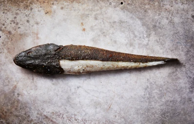 Top-down view of a cooked whole flathead fish seasoned with pepper and salt resting on a weathered concrete surface