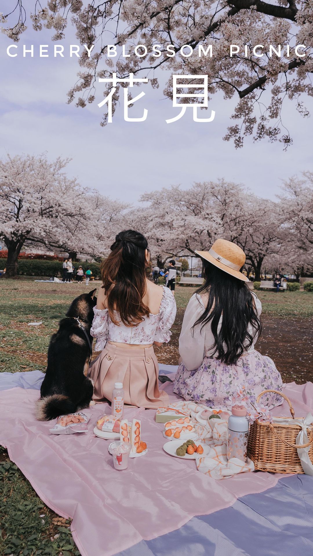 Two women and a dog enjoy a picnic under cherry blossom trees in a park, with a spread of food and drinks on a pink blanket.