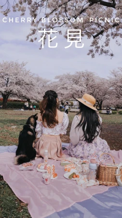Two women and a dog enjoy a picnic under cherry blossom trees in a park, with a spread of food and drinks on a pink blanket.
