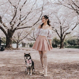 Woman wearing off-shoulder floral top and pink pleated skirt standing beside a Shiba Inu dog beneath cherry blossom trees
