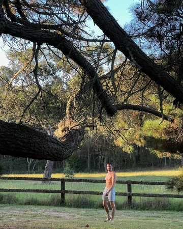 Shirtless man standing near a wooden fence in a grassy meadow under large overhanging pine tree branches