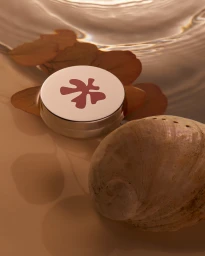 Round cosmetic jar with a pink flower logo resting next to a sea shell and brown leaves in shallow water.