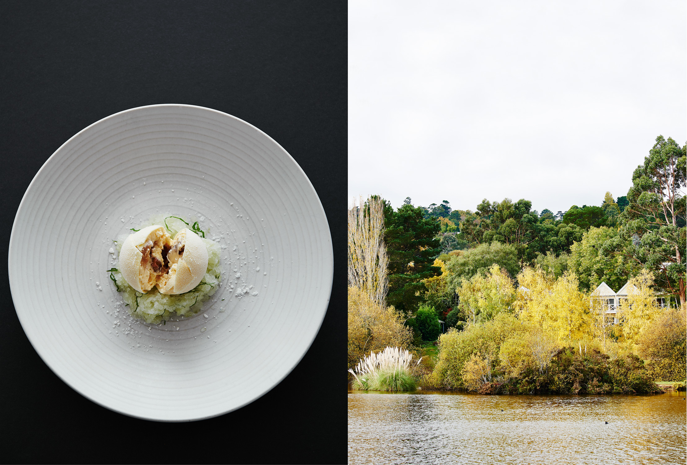 Elevated view of white plate featuring food against a black background, contrasted by a landscape scene on the right.
