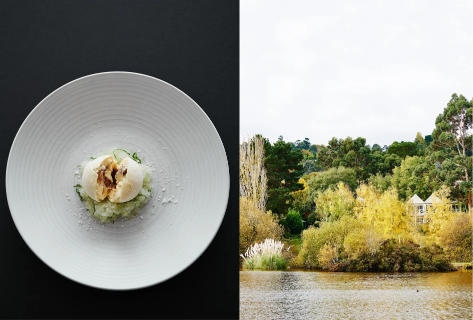 Elevated view of white plate featuring food against a black background, contrasted by a landscape scene on the right.