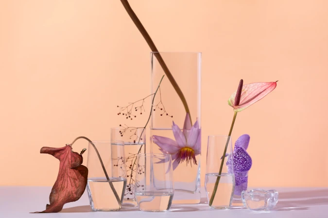 Still life featuring a transparent vase collection, water, and various botanicals including lotus, anthurium, and dried leaves, on light background.