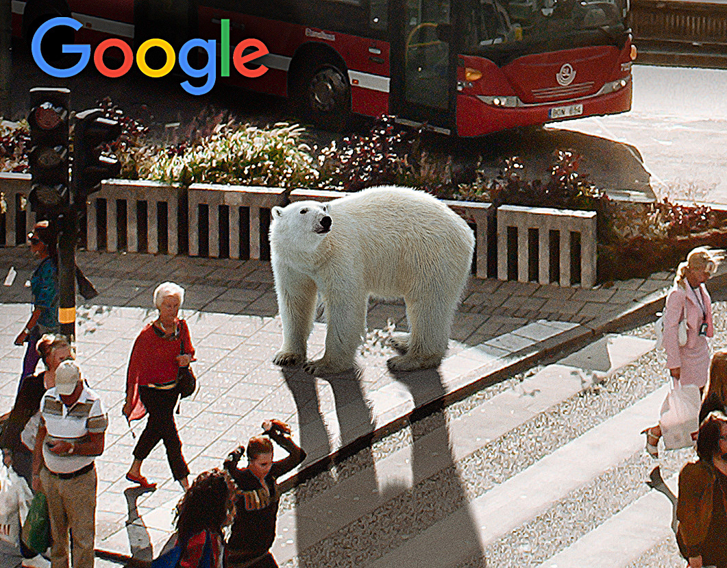 Polar bear walks across a crosswalk in an urban scene, with a bus and pedestrians visible in the background on a sunny day.