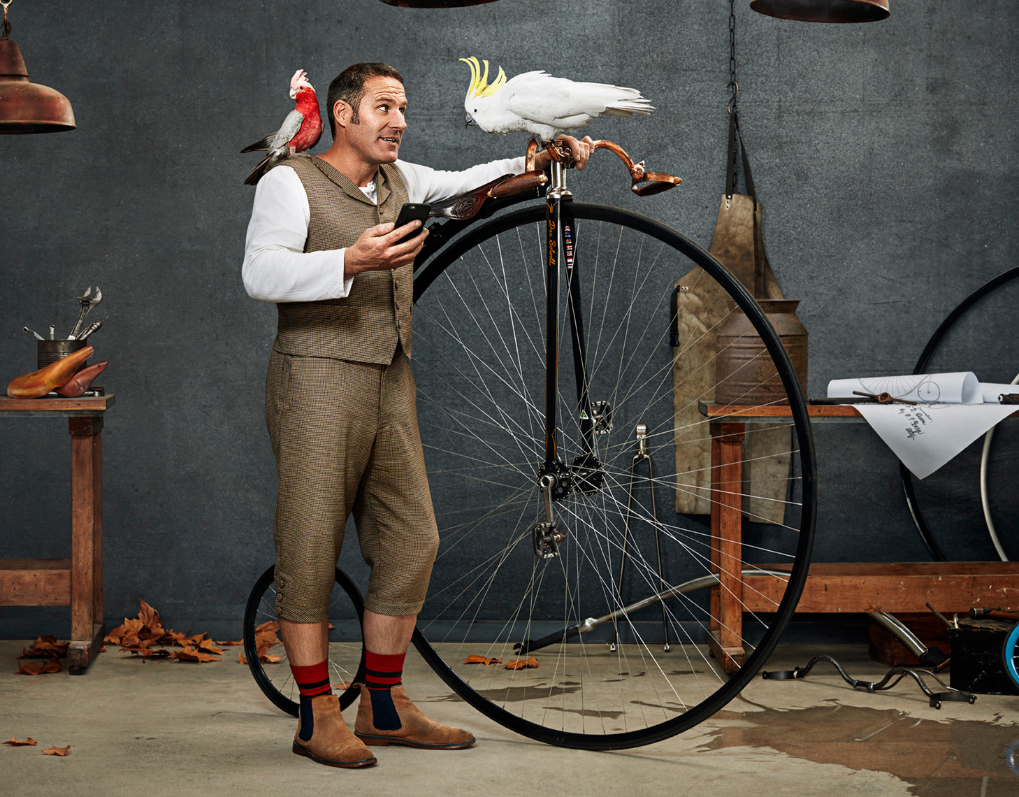 Man with vintage bicycle and parrots: Man in vest holds phone, a vintage bicycle, and two parrots, in an indoor photo studio.