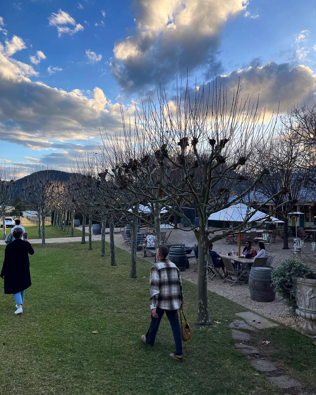 Outdoor dining area at dusk features people seated at tables, surrounded by bare trees, with a mountain backdrop and cloudy sky.