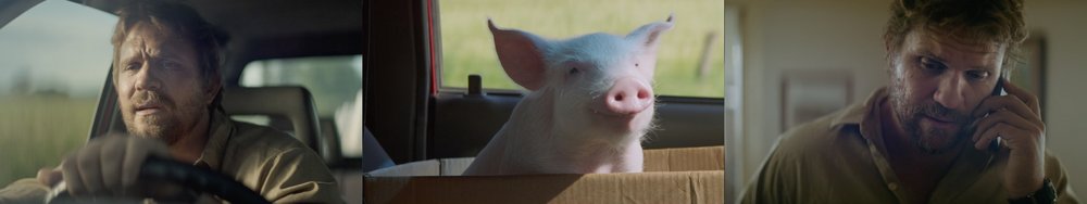 Three images. Man driving car, pig in a box, man talking on phone. Indoor shot in muted tones, tan and green colors dominant.
