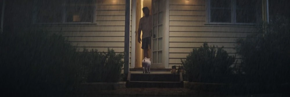 Adult male and white dog standing on the porch of a home at night during a rain shower under the warm glow of porch lights.