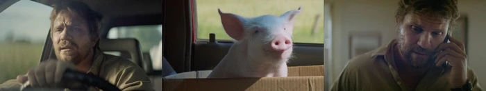 Triptych featuring a man driving a car, a pink piglet in a cardboard box, and the man making a phone call.