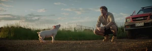 Man crouching on a dirt road next to a red car looking at a small piglet in the grass