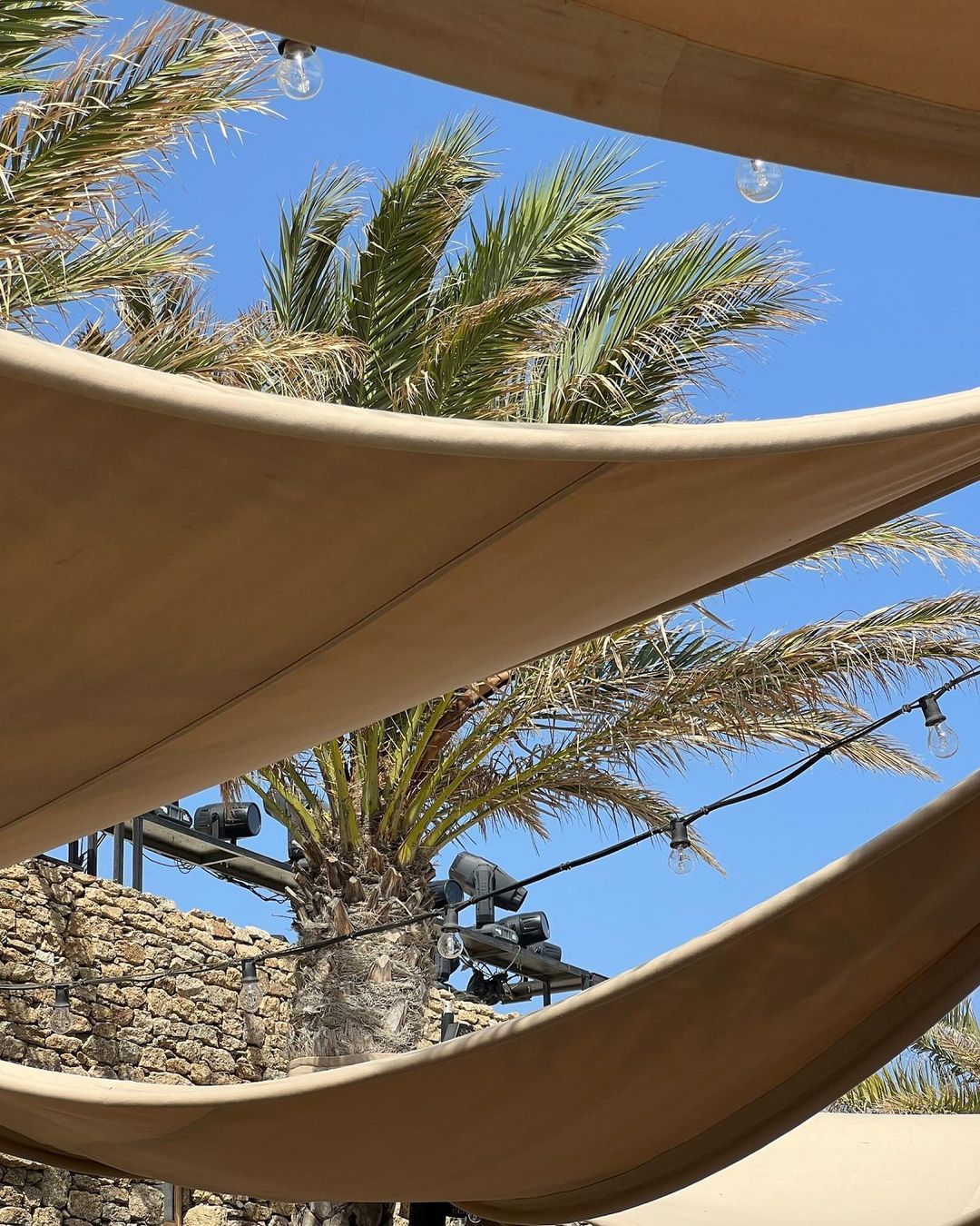 Daytime shot of palm trees and decorative shade structures against a clear blue sky, creating a tropical and relaxing atmosphere.