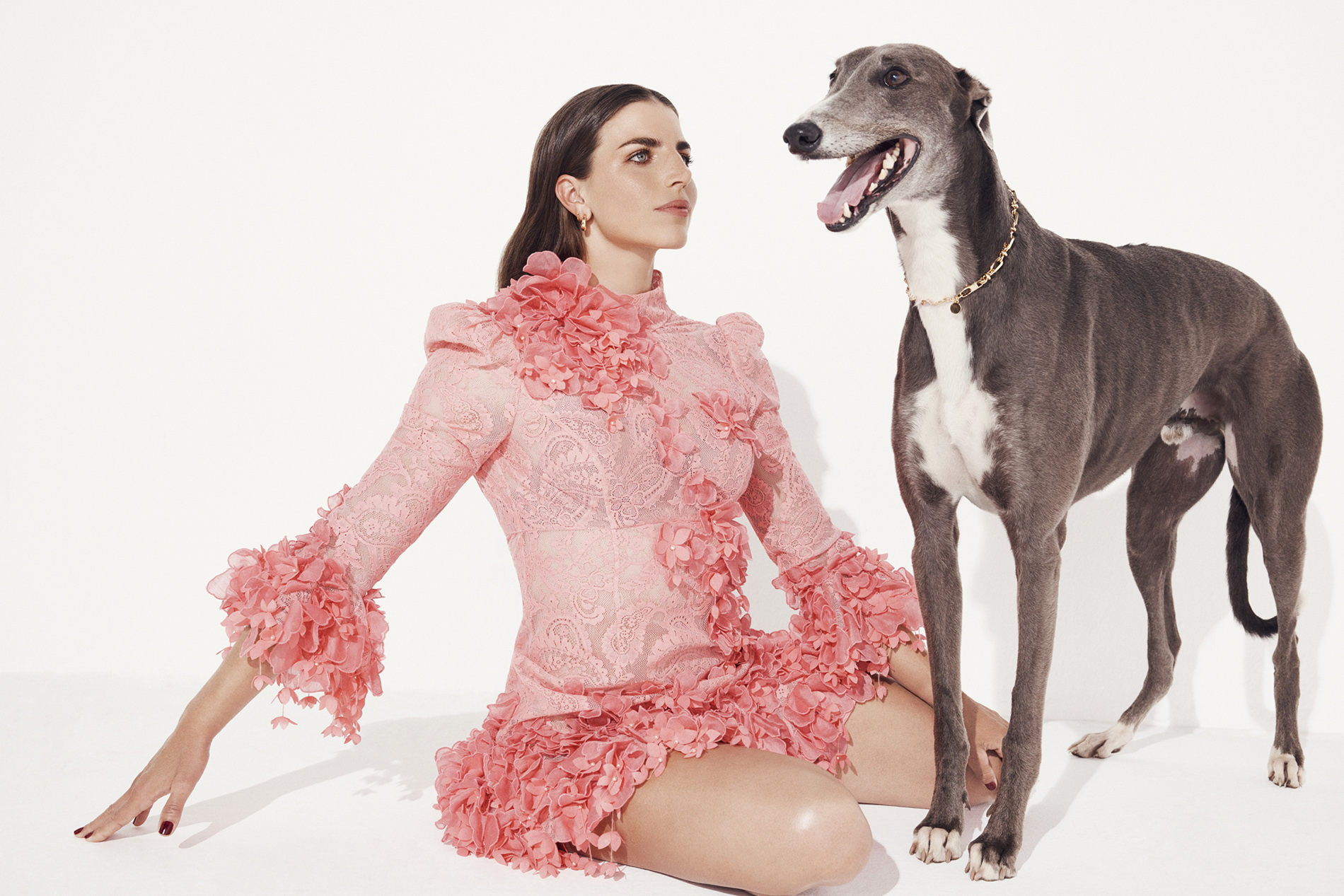 An adult woman in a pink dress poses seated with a greyhound dog in a bright, minimalist photo studio with a white background.